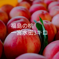 福島の桃　一宮水密　送料込み！3kg