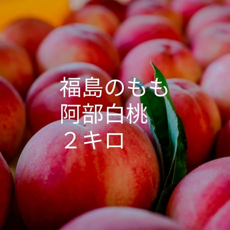 CocoRo♡farm 大玉!ワッサーのような桃（美郷）8kg CocoRo♡farm 大玉!ワッサーのような桃（美郷）8kg CocoRo♡farm