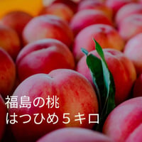 福島の桃　送料込み　はつひめ5kg