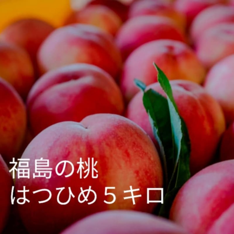 福島の桃 送料込み はつひめ5kg | かんたファームONLINESTORE