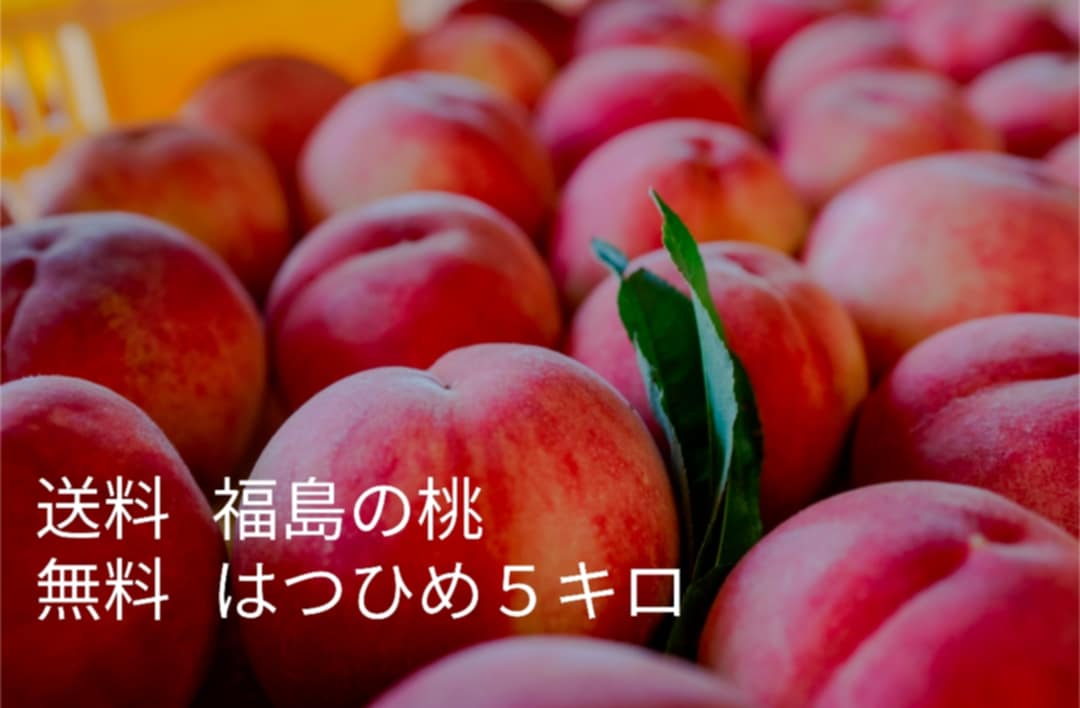 ☆専用 チー坊さま 【加工用:C級品】≪5kg箱≫桃 はつひめ (訳あり) 福島の桃 送料込み はつひめ5kg | かんたファームONLINESTORE