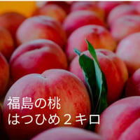 福島の桃　送料込み　はつひめ　2kg