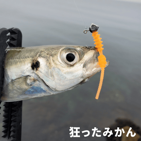 リングボンボン1.6インチ（8本入り）