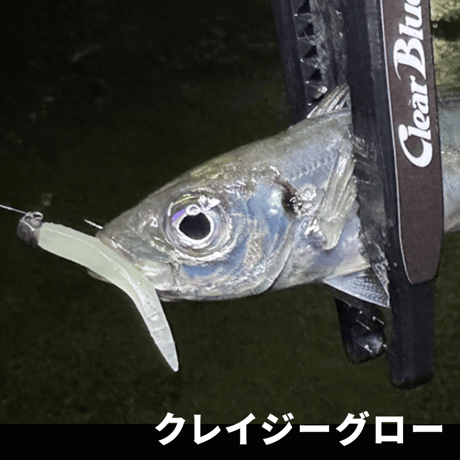 クノジー1.２インチ（8本入り）