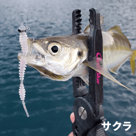 リングボンボン2.8インチ（8本入り）
