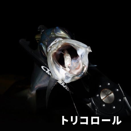 Rexy（レクシー）2.0インチ（7本入り）