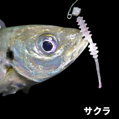 リングボンボン1.6インチ（8本入り）