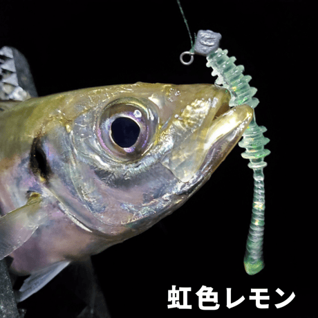 リングボンボン1.6インチ（8本入り）