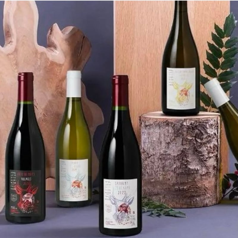 CHAPUIS & CHAPUIS : Savigny les Beaune Rouge |