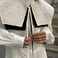 Reversible 2way collar