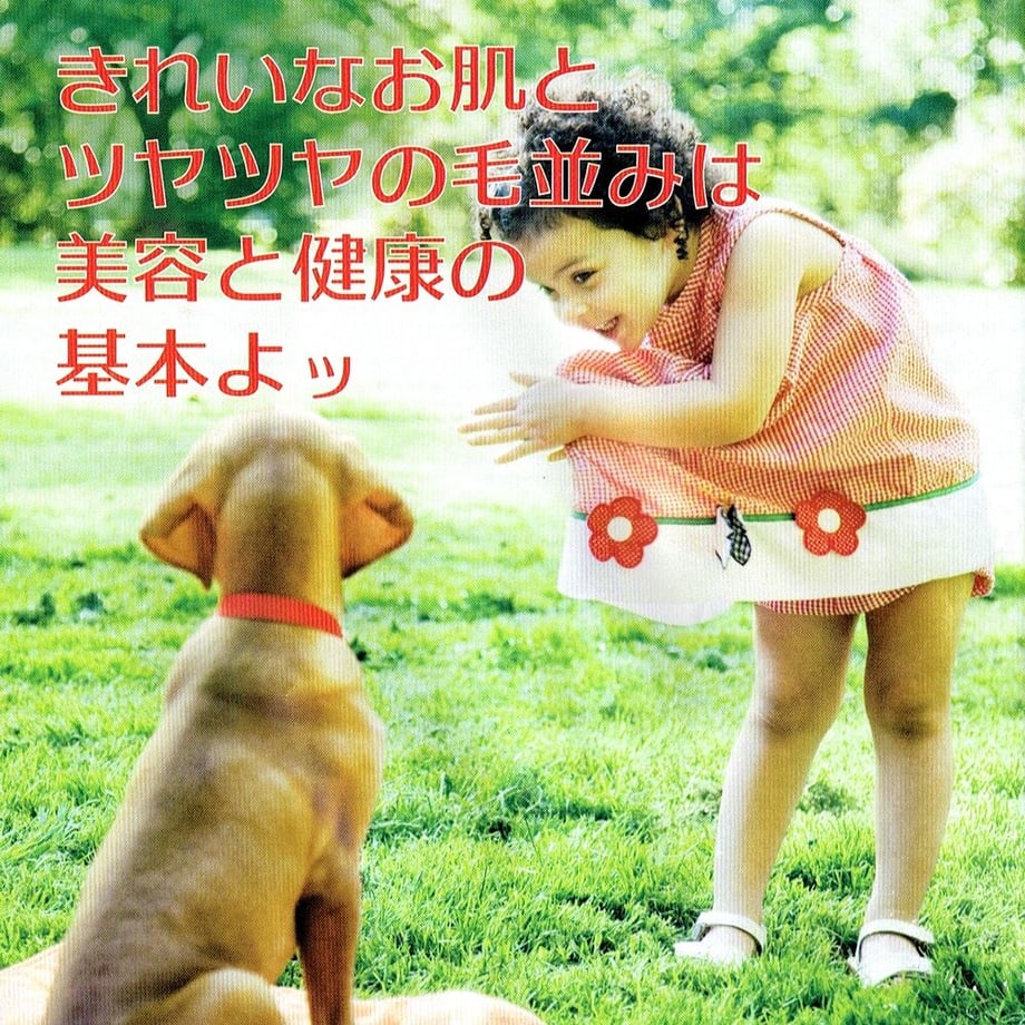 6391fb528d26fa3f560bb92f
