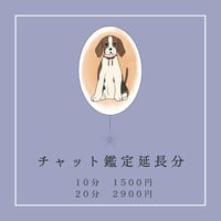 チャット鑑定延長分【10分】【20分】