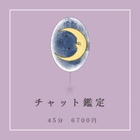 チャット鑑定【45分】LINE or Instagramで