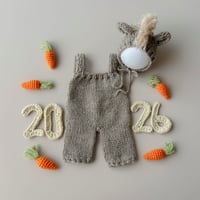 🐴オプション衣装うまno.3grey