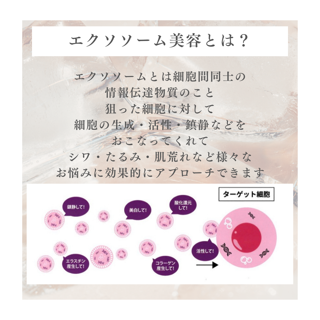 REVI ルヴィソームモイストクリーム | Amicarina STORE