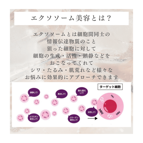 REVI ルヴィソームモーニングクリーム