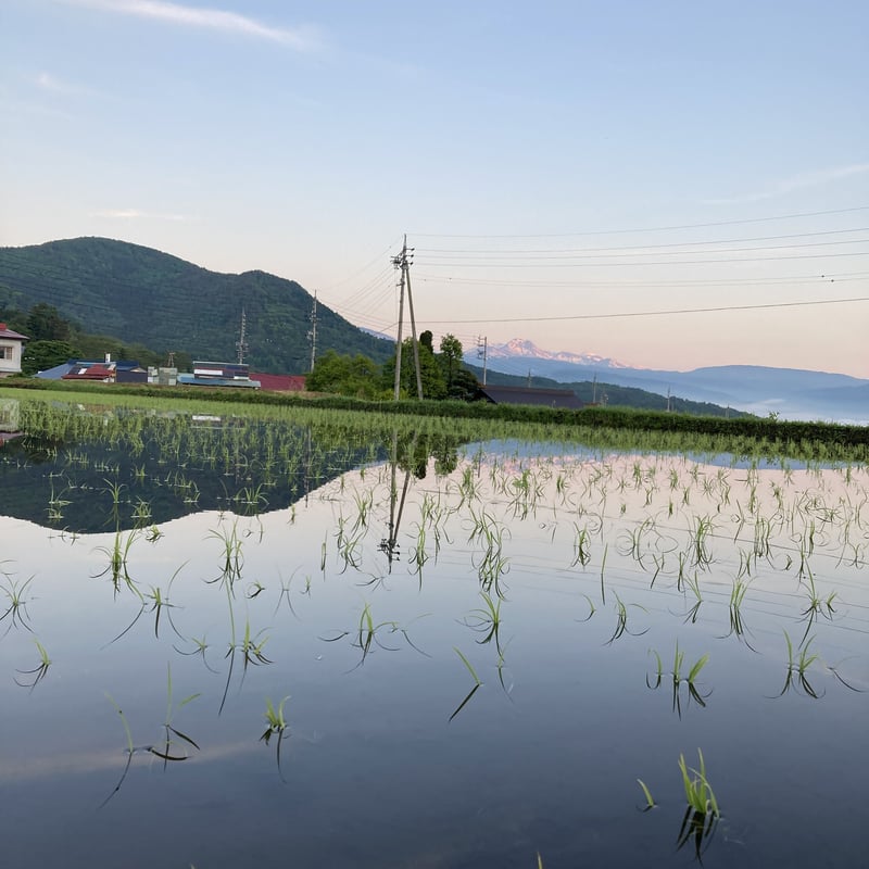 2025 雪中貯蔵熟成 雪滴 特別純米 生酒 720ml 2本(化粧箱入
