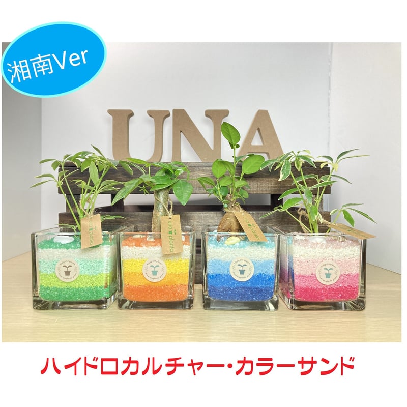 送料無料！【ウナプランタグリーンオリジナル】カラーサンド湘南Ver