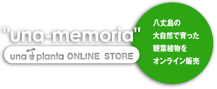 “una-memoria”