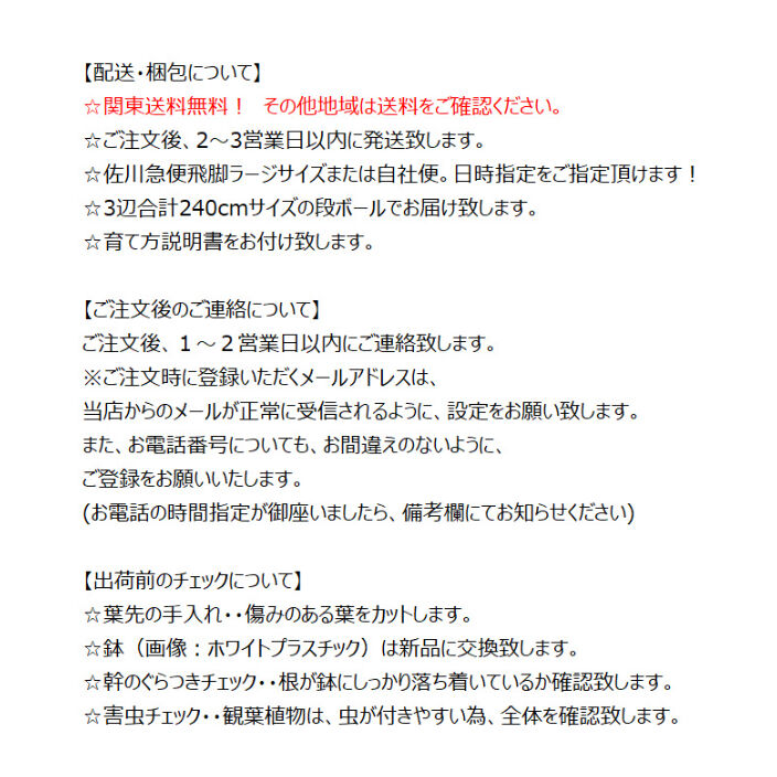 関東送料無料!【ウナロベ】PR-10八丈島産フェニックス 関東送料無料!【ウナロベ】PR-10八丈島産フェニックス