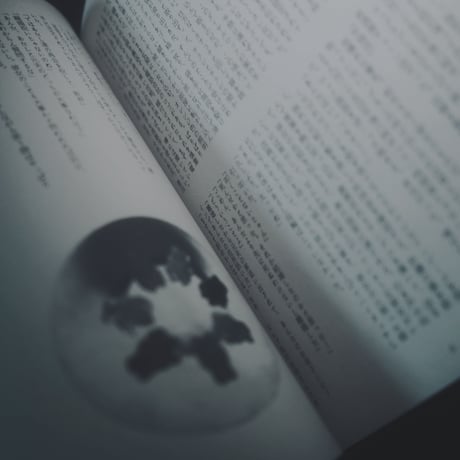 あなたは愛を、あたしは花を。