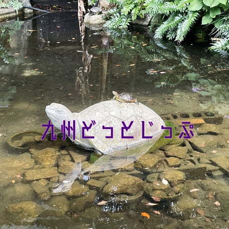 九州どっとじっぷ