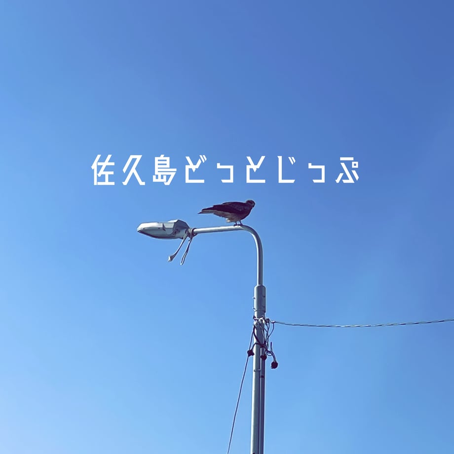 65c8e4c84fdf6e4808647a41