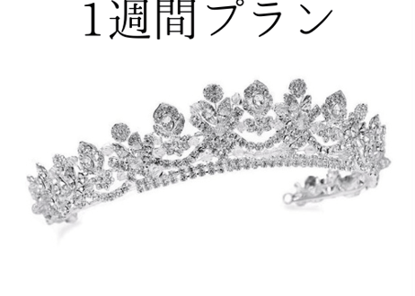 Ivory & Co.　ティアラ ※グローブ2つおまけ 6faea7f8bebf437aec44015cf0a3ca