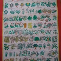チベット医学四部医典薬草図