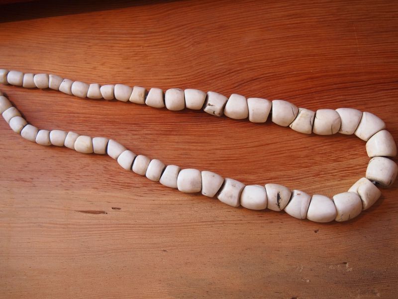 NAGALAND SHELL NECKRACE (ナガランド 貝ネックレス） | GRASS