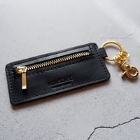 mini coin case