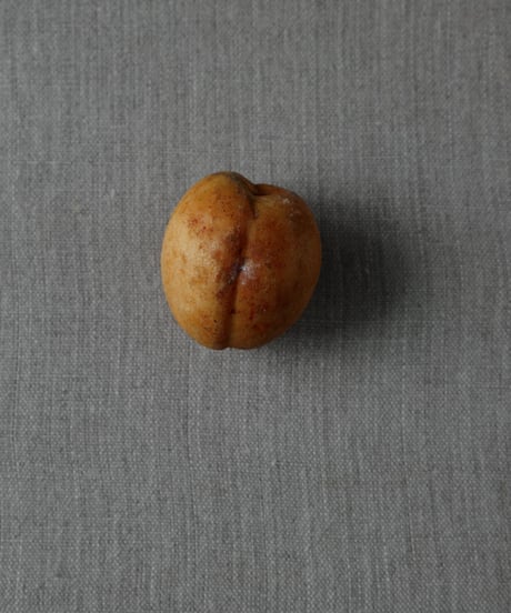 大理石のあんず