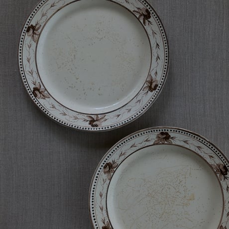 クリームウェア | STORES