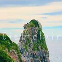 猿岩