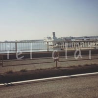 海　道路