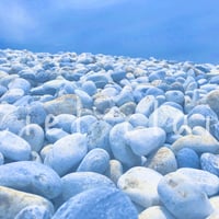 海岸