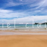 海