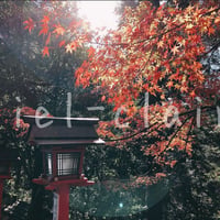 紅葉3