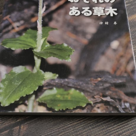 沖縄本島の絶滅のおそれのある草木　仲村昇
