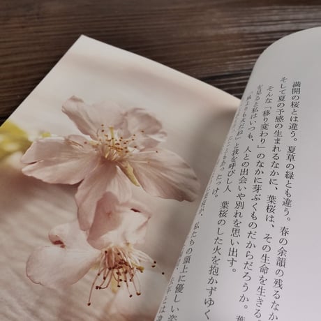 花束のように抱かれてみたく（角川文庫）俵万智 短歌・文／稲越功一 写真
