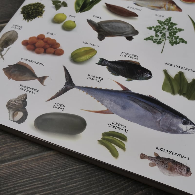 沖縄食材図鑑 令和5年度改訂版 【監修】一般社団法人食の風