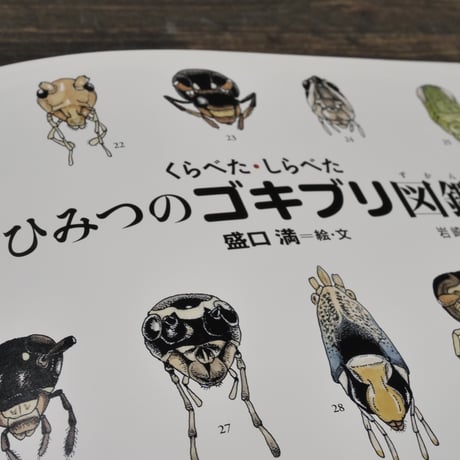 くらべた・しらべた ひみつのゴキブリ図鑑　盛口満=絵・文