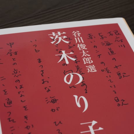 茨木のり子詩集　谷川俊太郎 選（岩波文庫）