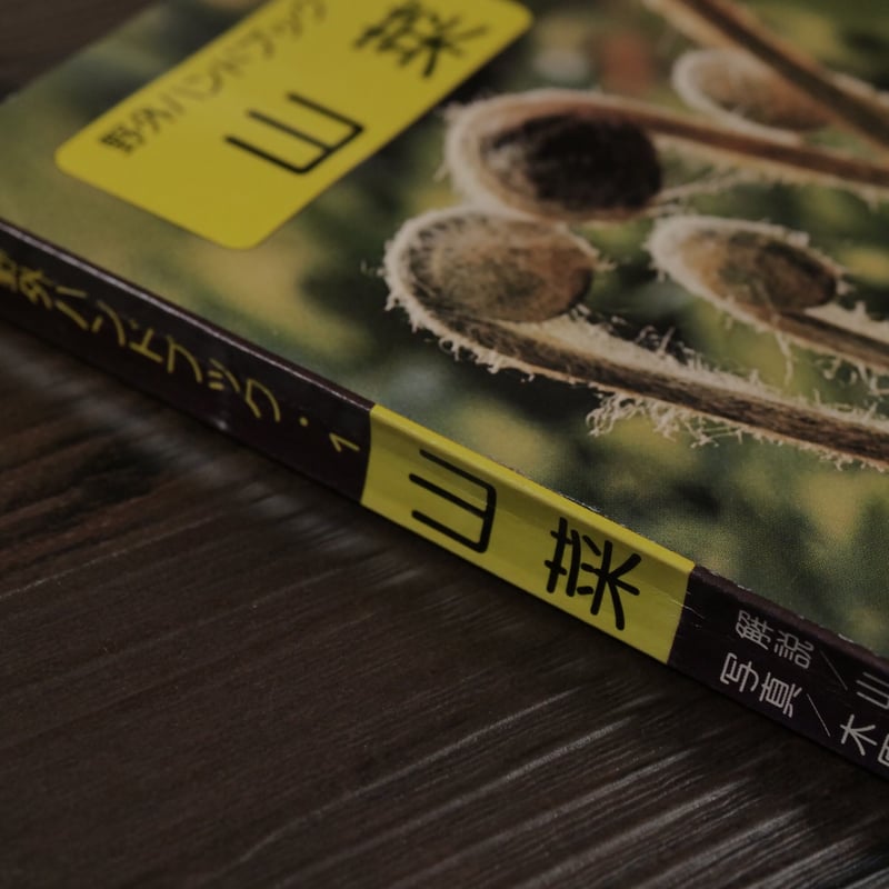 野外ハンドブック1 山菜（B6判）木原浩／山口昭彦 | 古書店うみつばめ