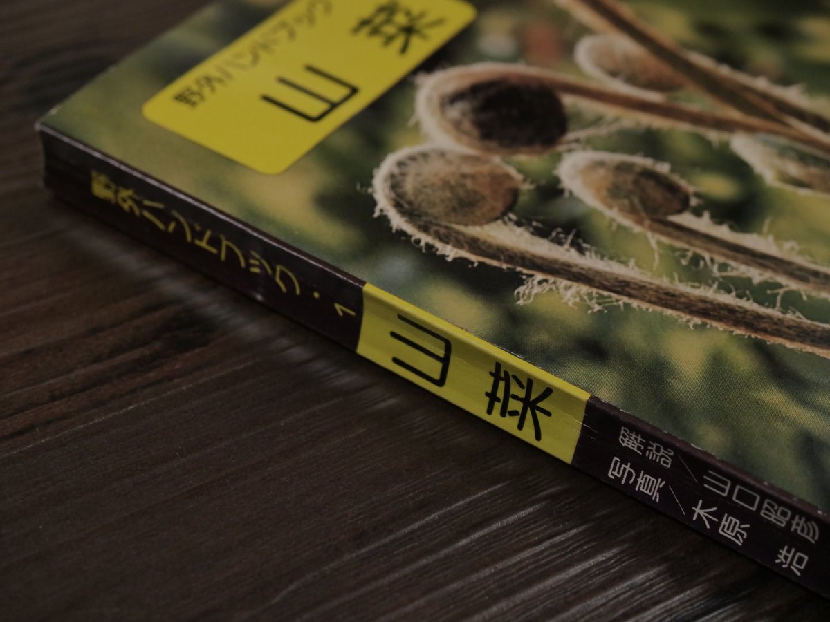野外ハンドブック1 山菜（B6判）木原浩／山口昭彦 | 古書店うみつばめ