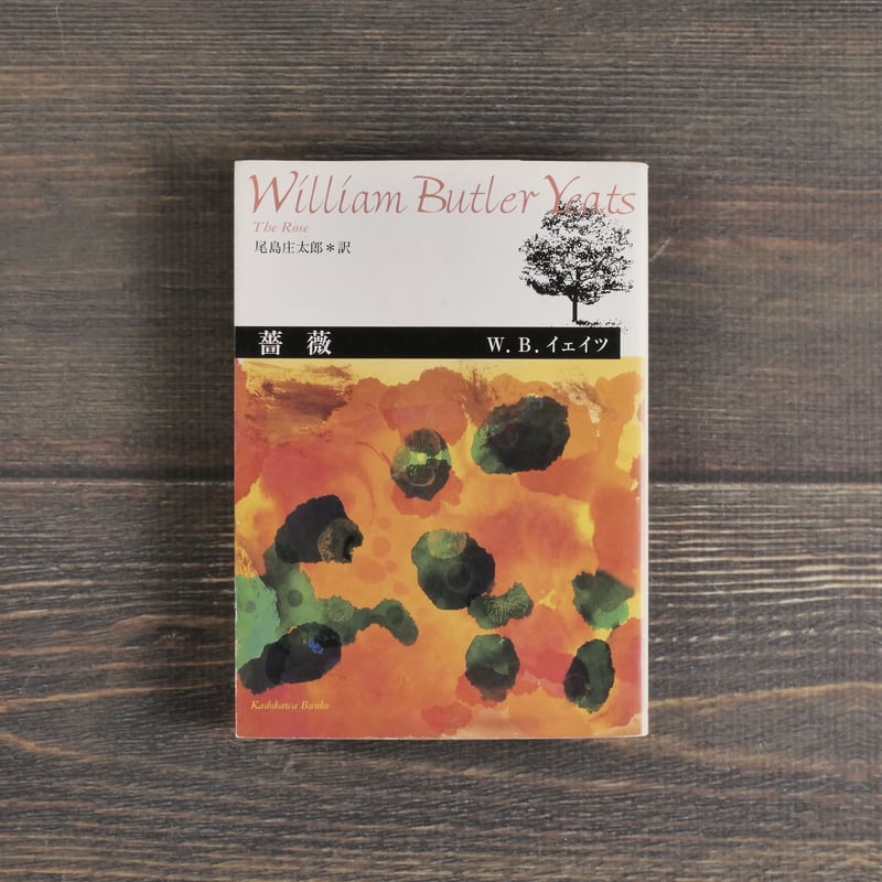 洋書 ペルシャ語 / ハーフェズ詩集 / 解説: バハウディン・ホラームシャヒ ハーフィズ 詩集 (ペルシャ語) - 洋書オンライン アウトレット