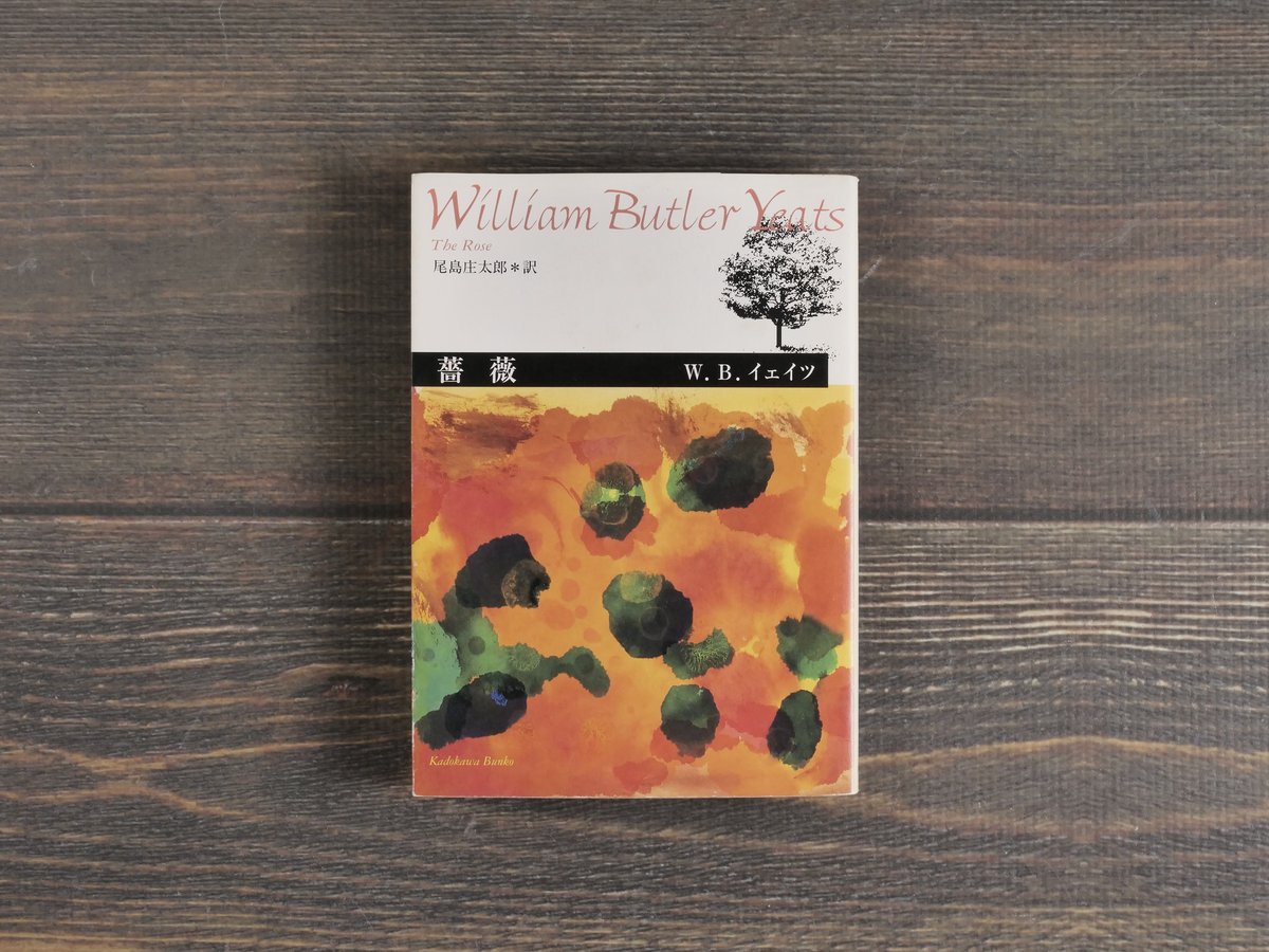 ヴィジョン　W.B.イェイツ ヴィジョン (1978年) | ウィリアム・B.イェイツ, 鈴木 弘 |本