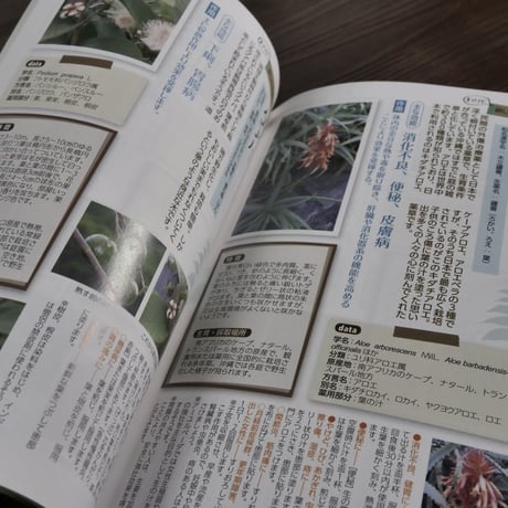 おきなわ野の薬草ガイド（B6判）大滝百合子