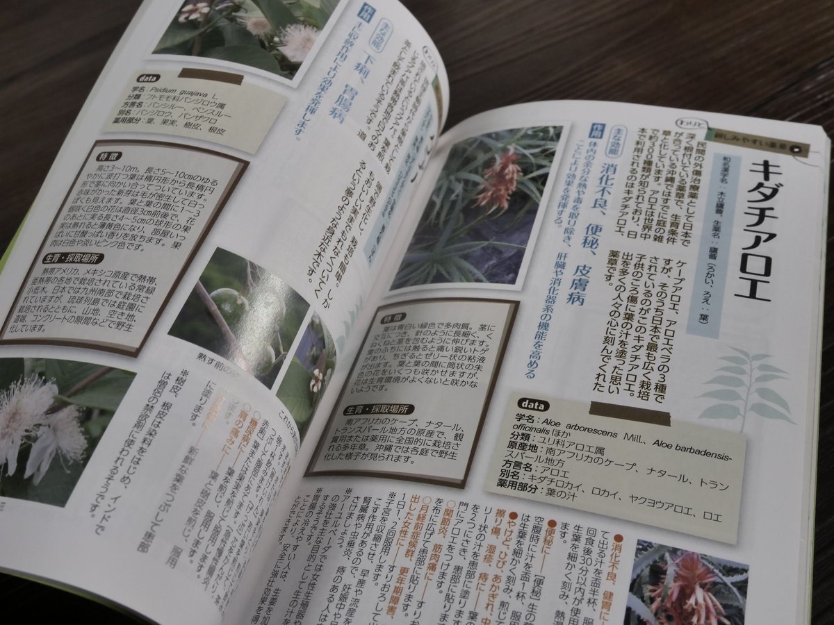 おきなわの薬草百科 沖縄の薬草百科―誰にでもできる薬草の利用法 やさしい煎じ方と