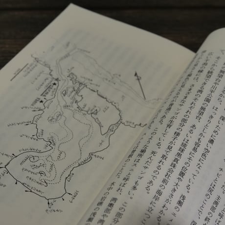 サンゴ礁の渚を遊ぶ　石垣島川平湾（おきなわ文庫）西平守孝